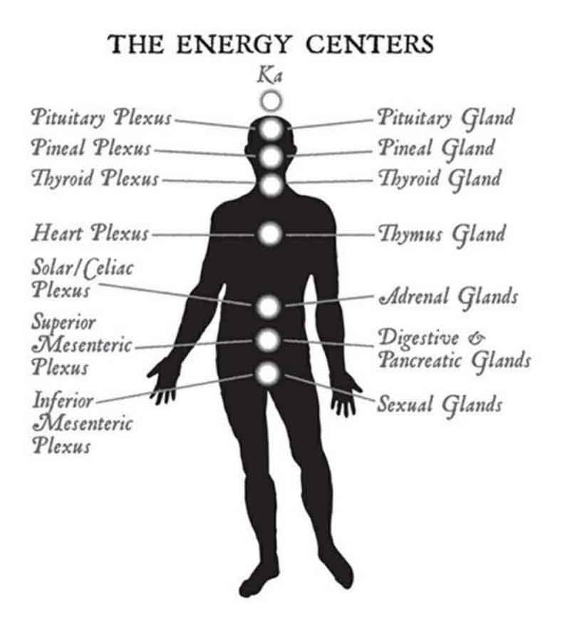 energy centers: plexus and glands